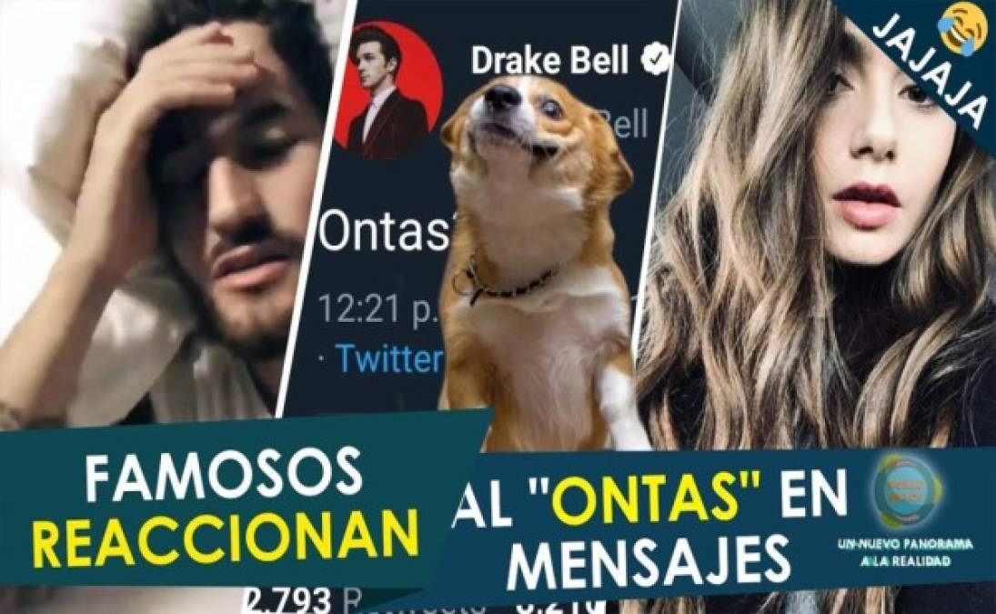 Como parte de la tendencia de un sinfín de memes fueron producidos por algunos internautas, también como una vida para que se conviertan en un tema destacado, viral y tendencia según el sitio.