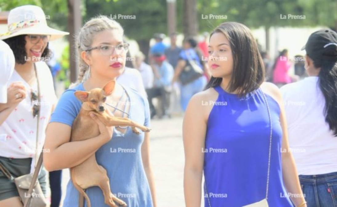 Hasta las mascotas se hicieron presentes en Comayagua para disfrutar de un tiempo de turismo local.