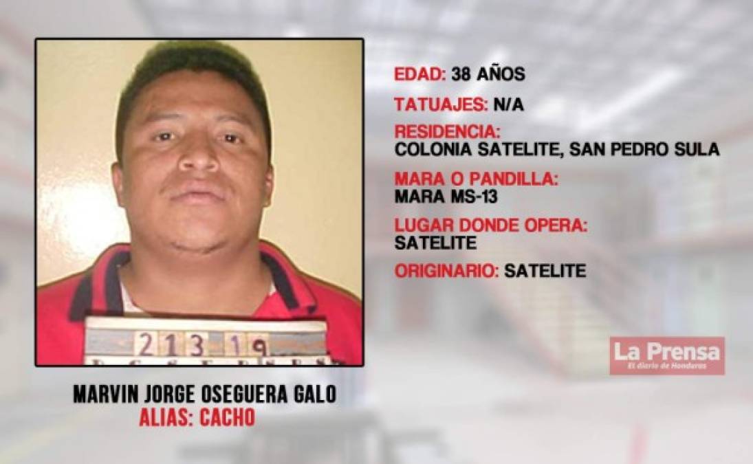 Acusado de tráfico de armas, extorsión y sicariato.