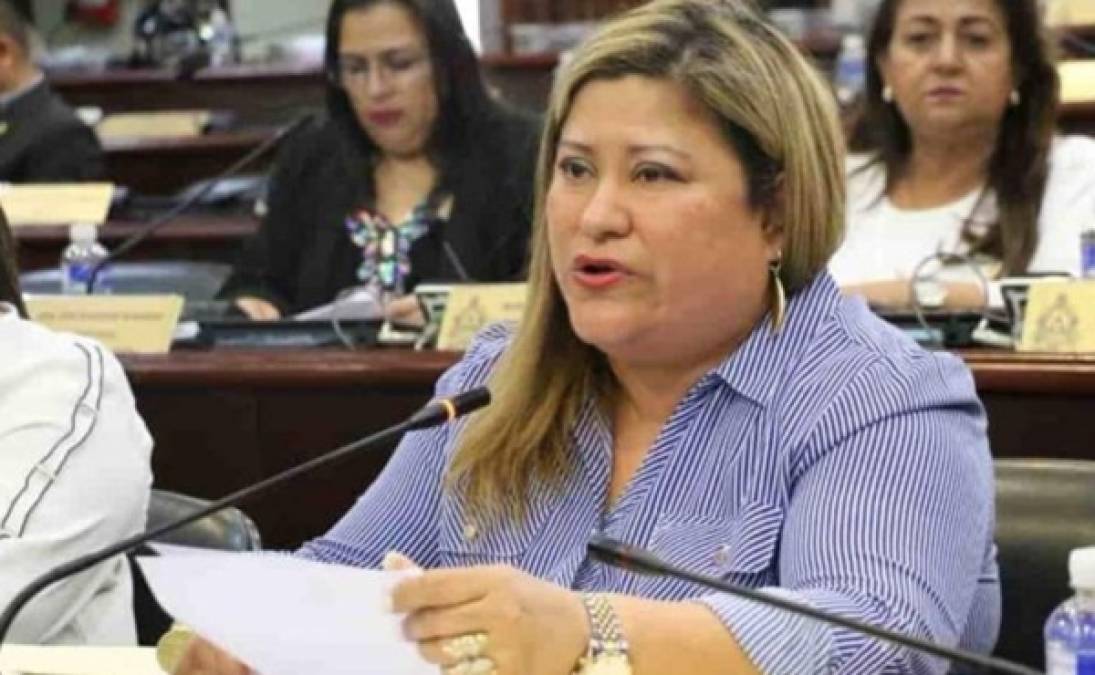 Welsy Milena Vásquez López, actual diputada nacionalista del Congreso Nacional, también ha sido acusada, de acuerdo con lo difundido por el Departamento de Estado.