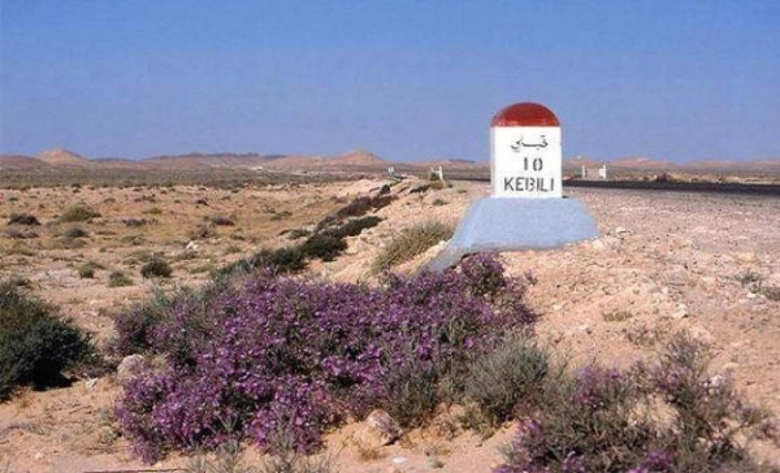 KEBILI, TÚNEZ.,<br/>Al estar rodeado por desierto, Kebili registra extremos de temperaturas, las que en verano alcanzan los 55°C.