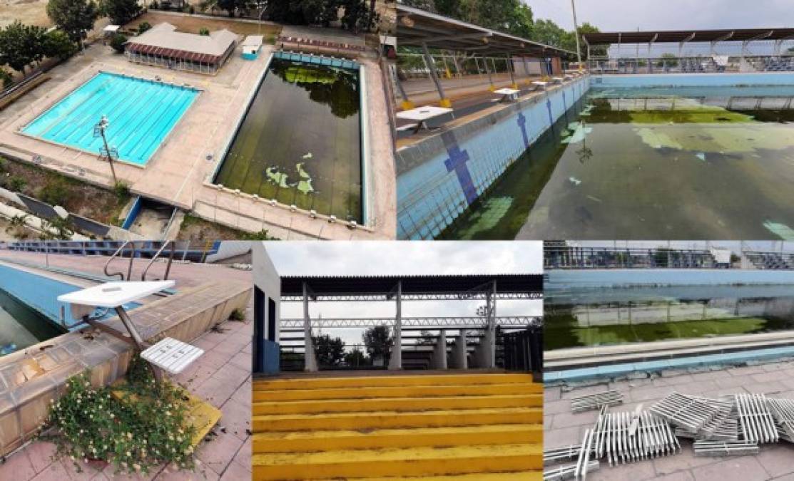 En lamentables condiciones y en total abandono se encuentra la piscina Complejo Olímpico Metropolitano de San Pedro Sula.