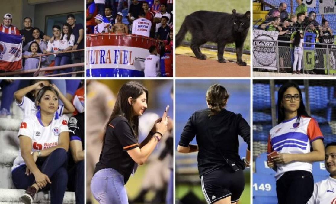 Las imágenes del ambientazo vivido en el estadio Olímpico durante el partido Olimpia-Seattle Sounders por la ida de los octavos de final de la Liga de Campeones de la Concacaf. Fotos Yoseph Amaya/Neptalí Romero