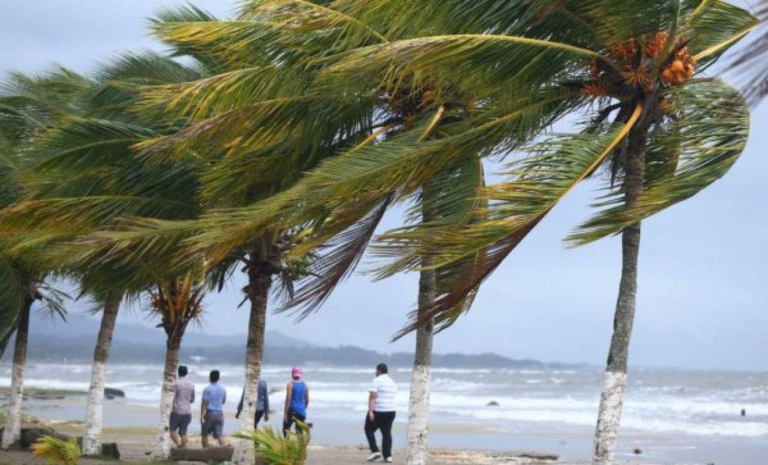 Las bajas temperaturas, las lluvias y los vientos acelerados continuarán afectando el territorio nacional, por lo que la Comisión Permanente de Contingencias (Copeco), aconseja usar abrigos y proteger a adultos mayores, menores y personas con discapacidad.