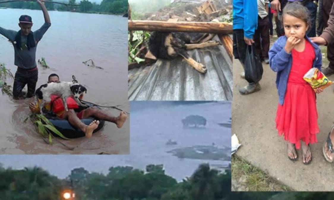 Lluvias han dejado varios muertos, decenas de damnificados y daños en Honduras.