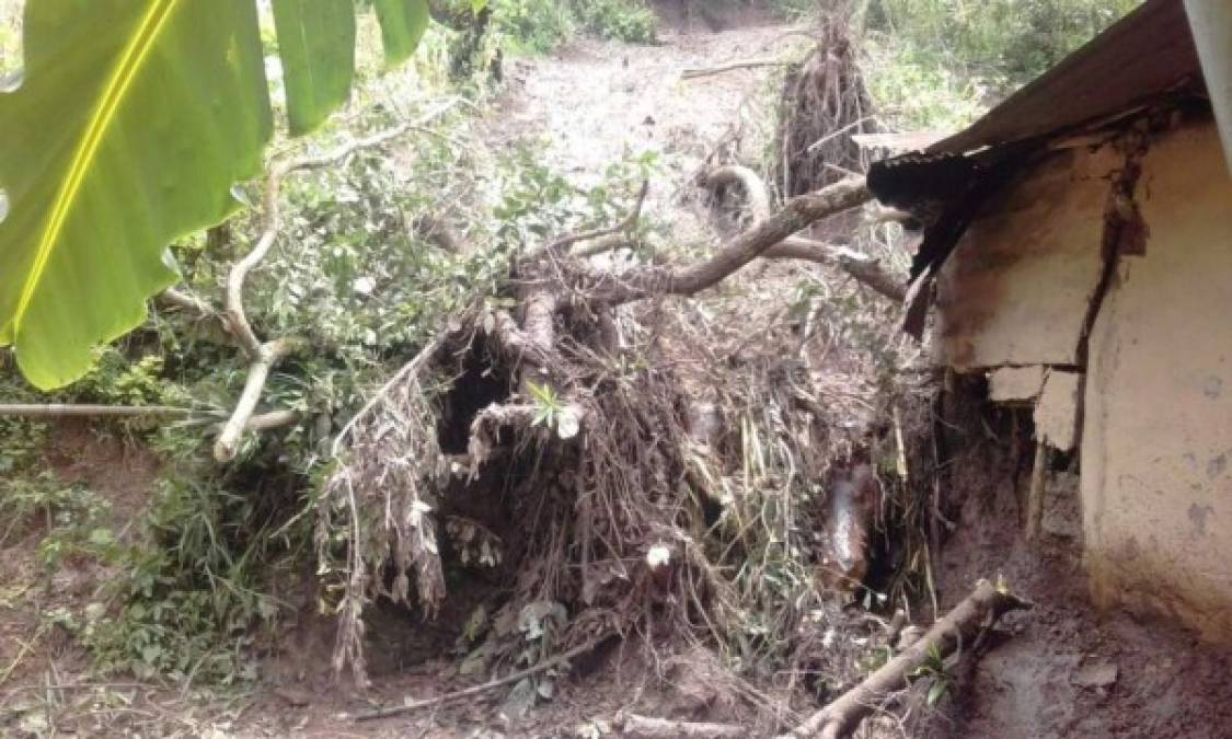 Los municipios de San Nicolás y San José de Colinas se declararon en emergencia por los daños dejados por las torrenciales lluvias que azotaron el departamento de Santa Bárbara, en el occidente de Honduras. La alcaldesa de San Nicolás, Carmen Paz, informó que se reunieron de emergencia con los regidores debido a que hay muchos daños en viviendas. Según los bomberos, 24 viviendas fueron dañadas por los derrumbes, una casa fue soterrada y las quebradas dejaron daños en las vías de comunicación.