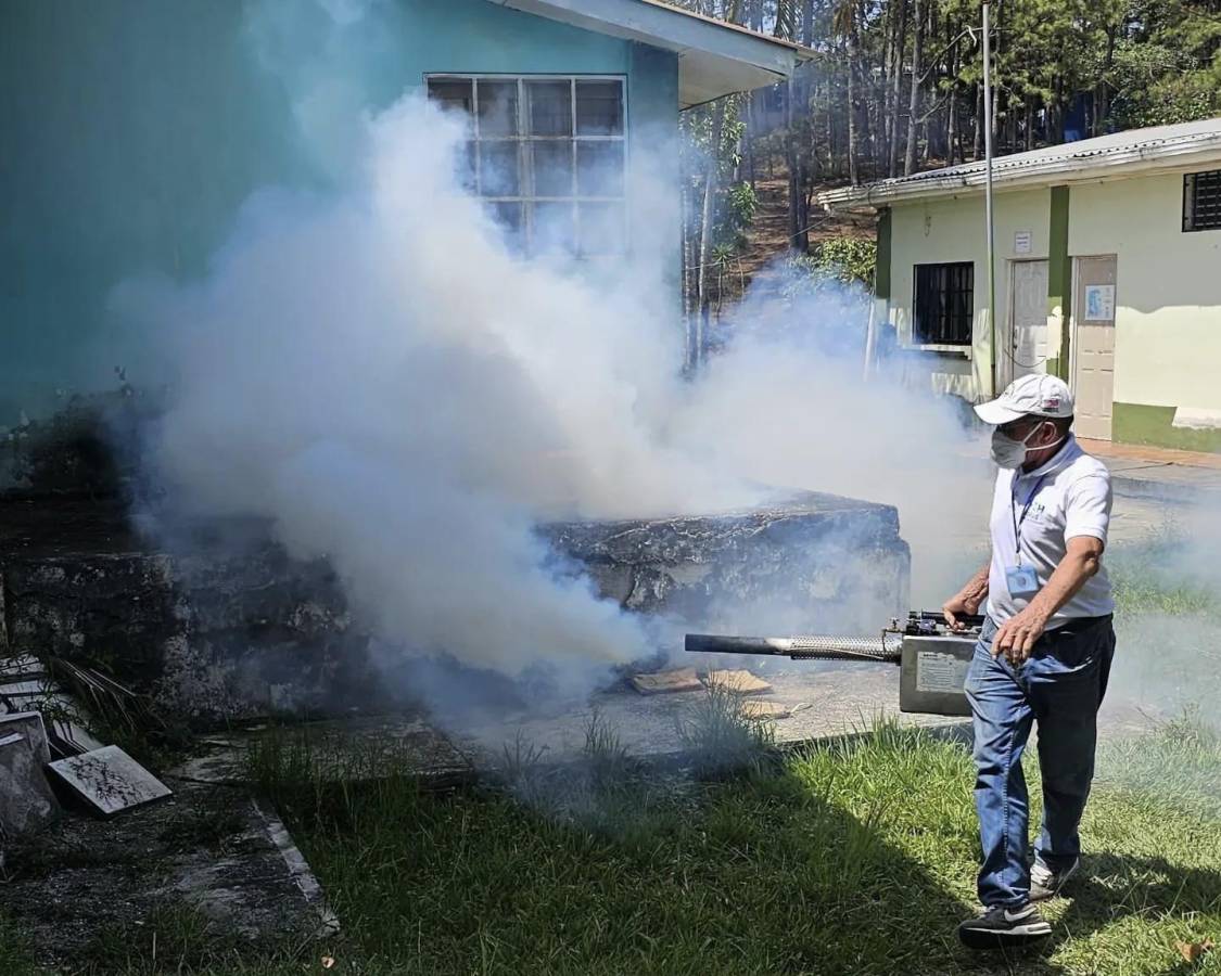 Cinco municipios de Copán en alarma por dengue