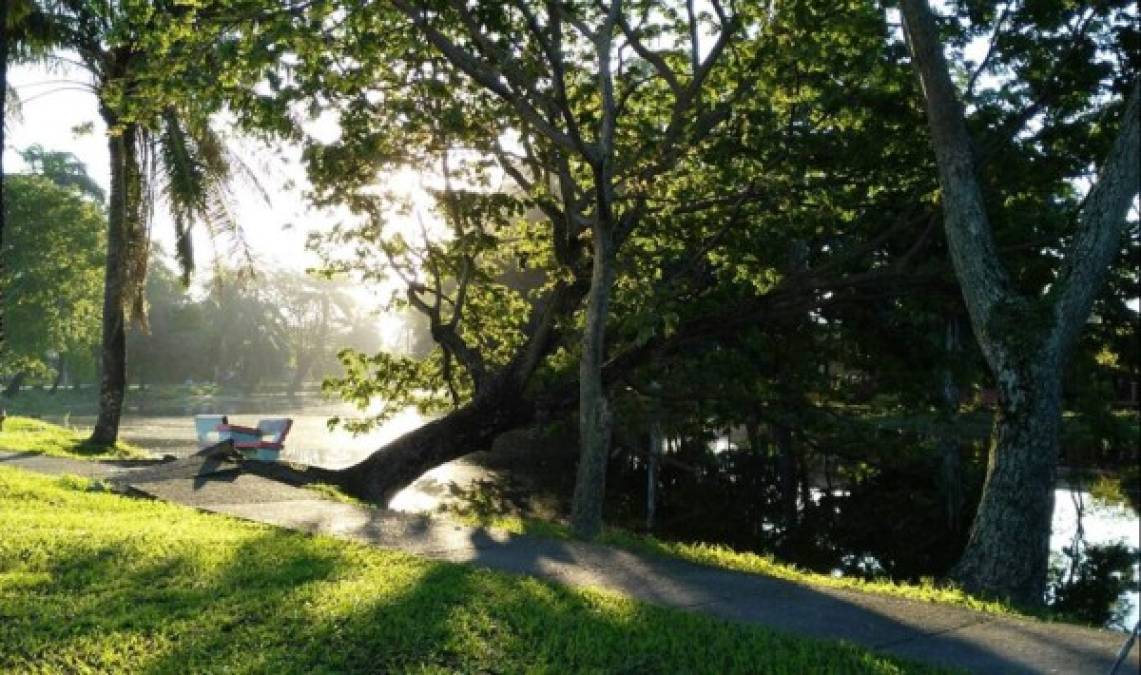 'Queda decretado que todos los días de la semana, inclusive los martes mas grises, tienen derecho a convertirse en mañanas de domingo': Thiago de Mello<br/>Foto: Guillermo Anderson, estero de La Ceiba.