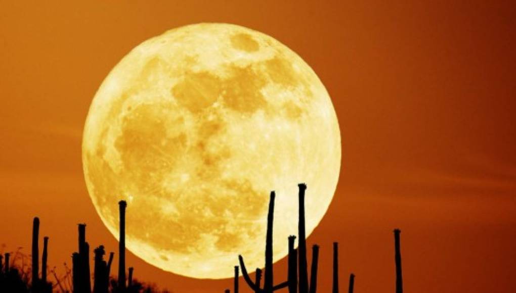 ¿Por qué la Luna se ve deslumbrante en octubre y noviembre?