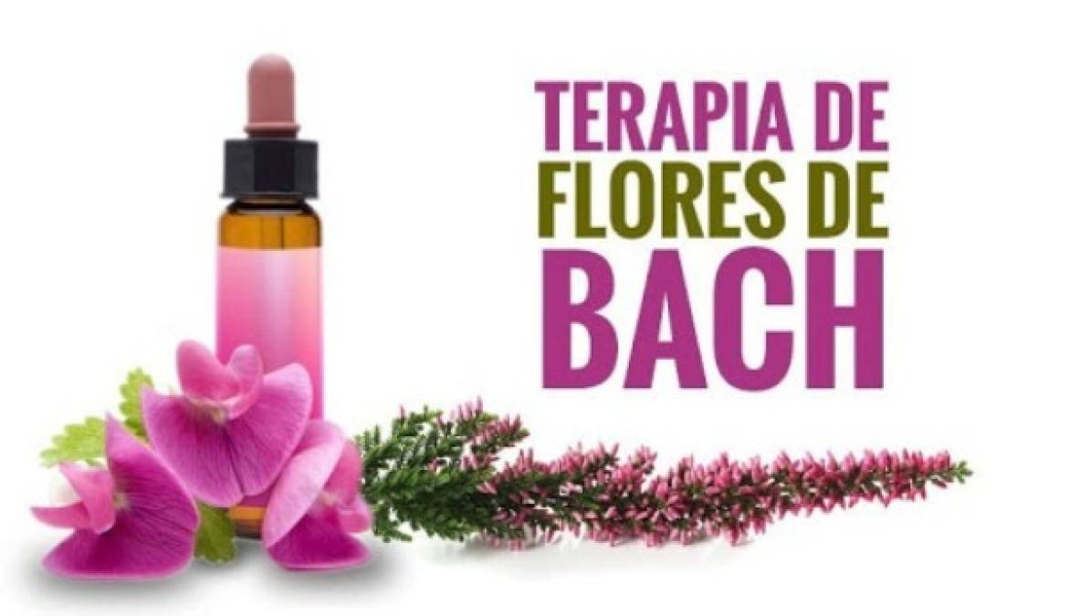 Las Flores de Bach son utilizadas para el estrés y la ansiedad, además sirven para encontrar un equilibrio entre la mente y el cuerpo. Esto último fue lo que hizo que mejorara Messi físicamente, tomando algunas gotas para no volver a sufrir los problemas que aquejaba.