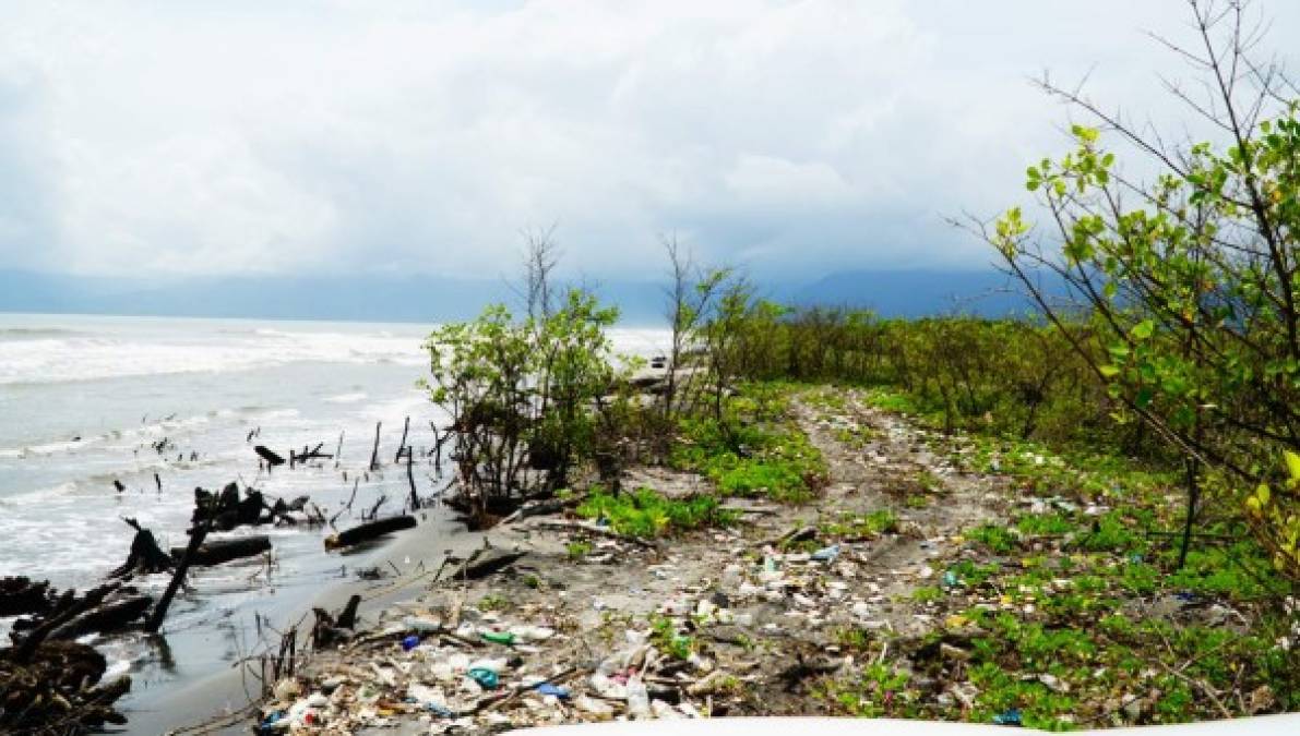 En noviembre, las cancilleres de Honduras, María Dolores Agüero, y de Guatemala, Sandra Erica Jovel, se reunieron con equipos técnicos para tratar de nuevo sobre la contaminación; pero a la fecha no hay acciones concretas.