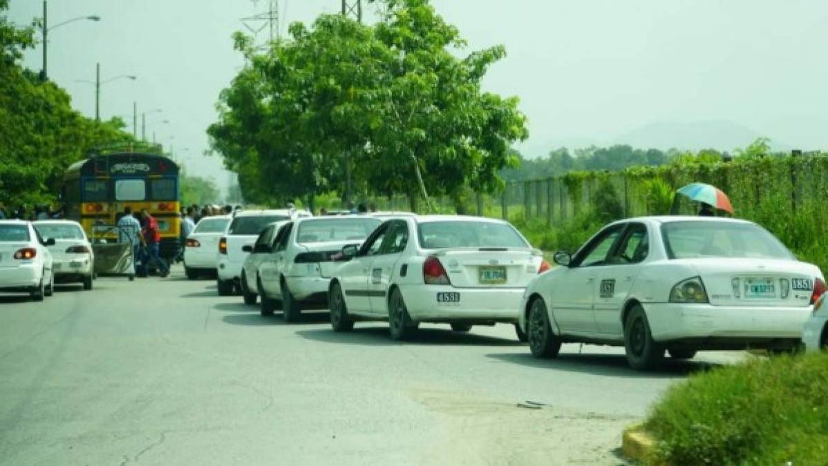 Largas filas de taxistas en la ciudad de San Pedro Sula en el paro de transporte.