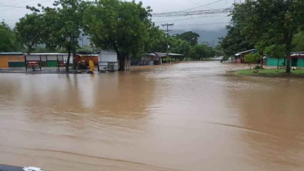 Sectores de La Lima, Cortés.