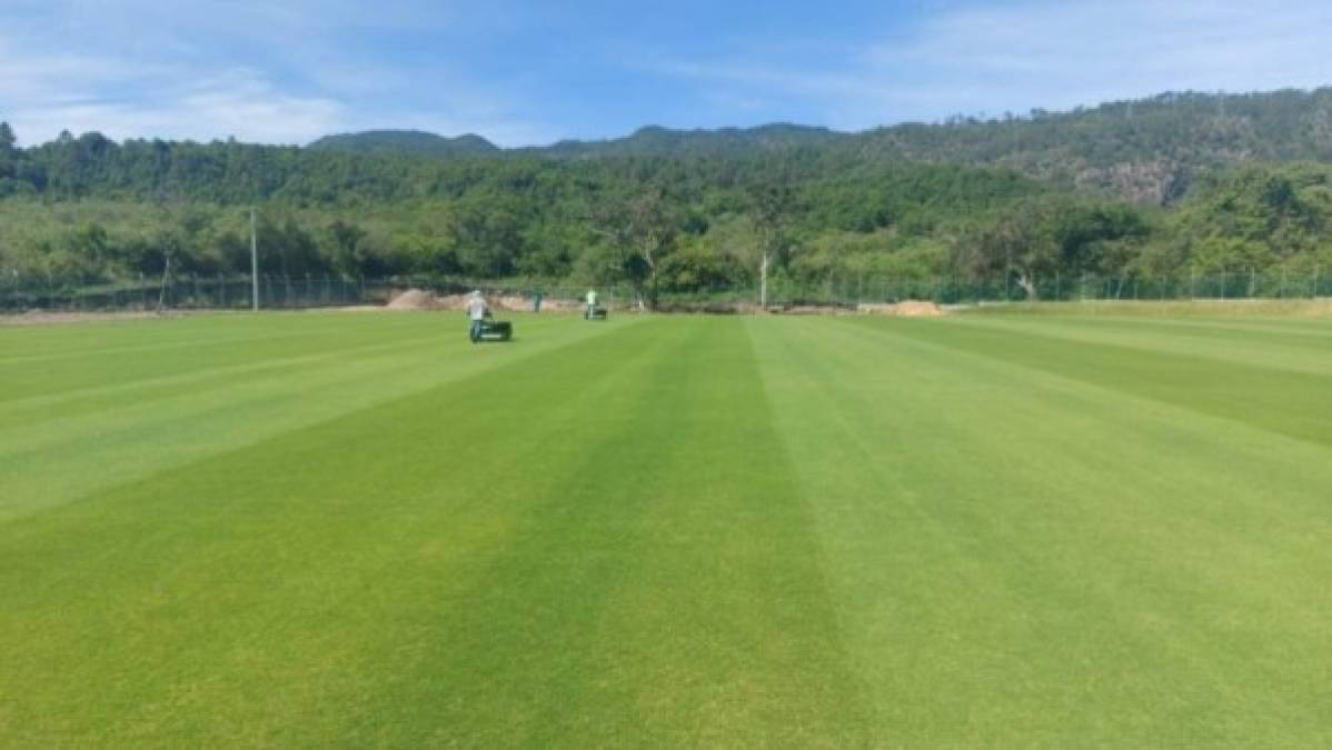 El césped de estas canchas fueron construidas por una empresa de Costa Rica que le instaló un sistema de drenaje de última tecnología.