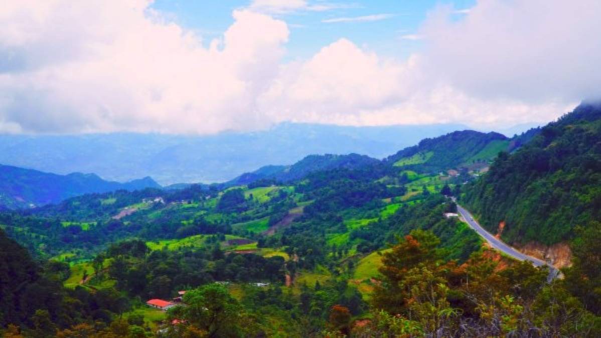 ubierta por un espeso bosque nublado, la montaña tiene una altura máxima de 2,310 metros (msnm) y es uno de los eslabones del Corredor Biológico Mesoamericano. El Güisayote está ubicado 10 kilómetros antes de Ocotepeque, de hecho, hay que atravesar una parte del área protegida para llegar a la ciudad.