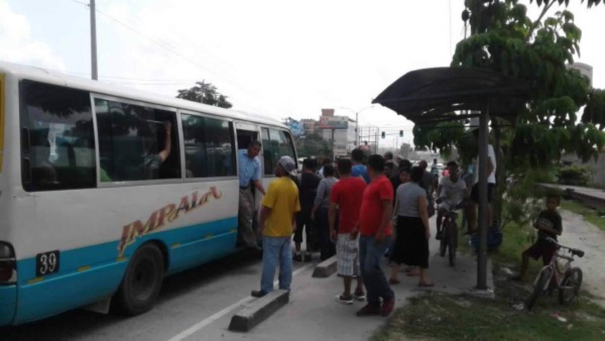 El paro de transporte público ha impedido que miles de trabajadores lleguen a sus trabajos; además, ha provocado caos y largas filas humanas.<br/><br/><br/>Fotografías por Franklin Muñoz, José Cantarero y Amílcar Izaguirre.