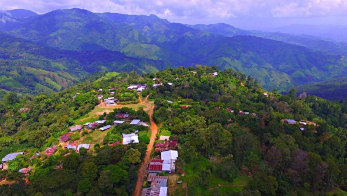 La Montaña El Merendon se sumerge en el Mar Caribe y reaparece en la Isla de Roatán, formando el Pico llamado Dixon Cove Hill. <br/><br/>Esta montaña posee una gran variedad de hábitats y biomas debido a su bosque nublado de alrededor de 1,500 y 2,450 msnm, su bosque se caracteriza además por presentar neblina y llovizna fresca.