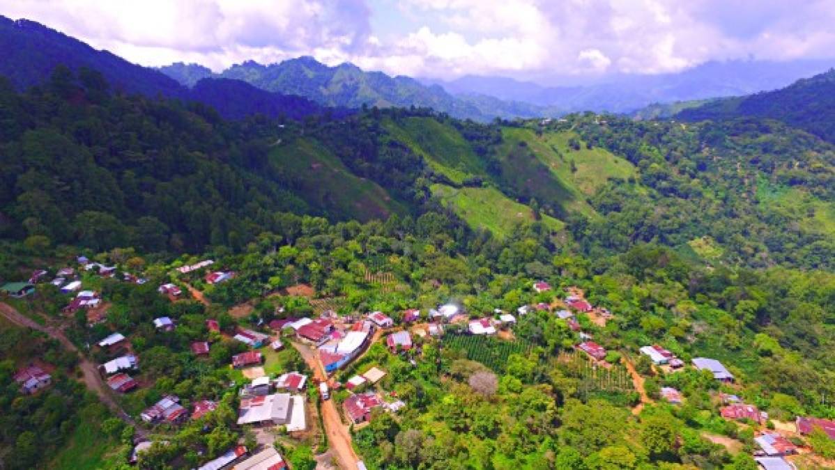 El Merendón sampedrano sufre del alto impacto de su población, un 40% de su zona ha sido afectada, ya sea por la contaminación, tala y cultivo ilegal. <br/><br/>Sin embargo, en los últimos años ONG´s y gobierno luchan por capacitar a los ciudadanos del Merendón para cuidar el pulmón de San Pedro Sula.