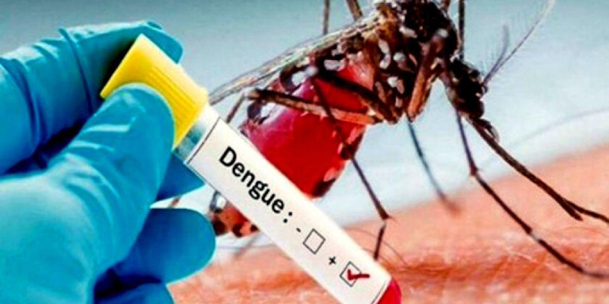 Cuatro personas han muerto por Dengue en el país en lo que va del año.