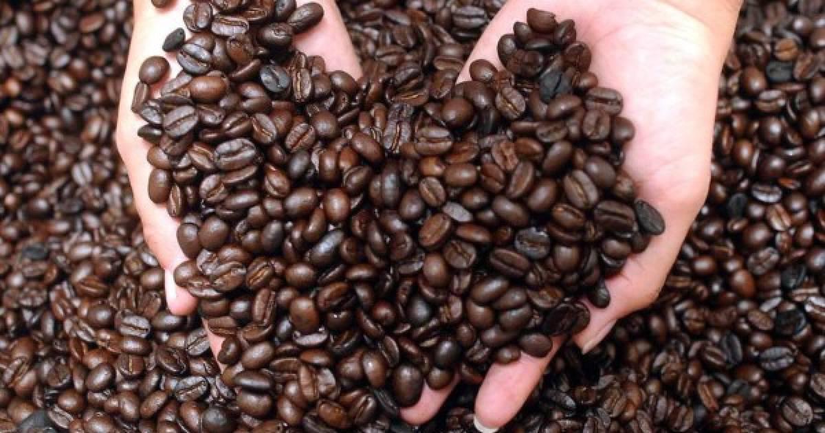 Precio internacional del café sobrepasa los $200 por quintal