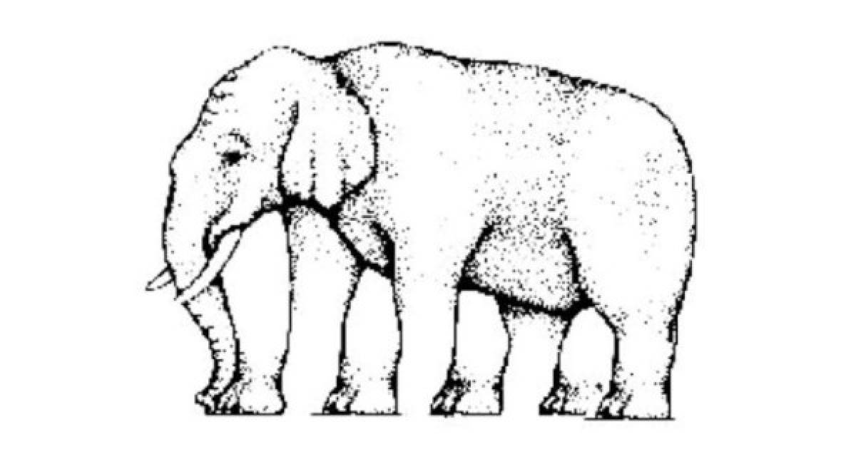 Este nuevo test de inteligencia pondrá a prueba tu agilidad visual. Observa la imagen y comenta cuántas patas tiene el elefante.