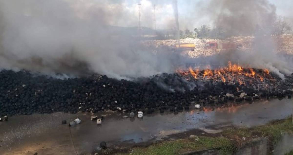 Dos manzanas de este material fueron consumidas por las llamas, según el teniente Rodríguez del cuerpo de Bomberos. <br/>