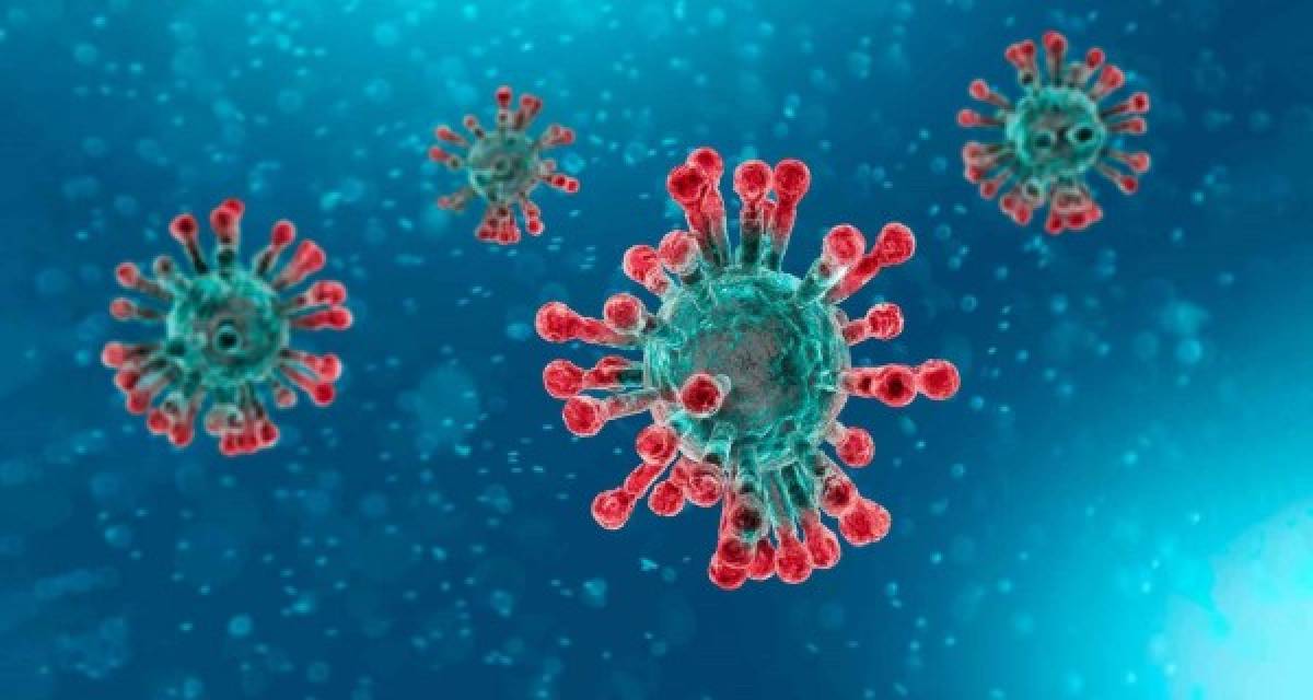 No hay evidencia concluyente de que los pacientes con sangre tipo A sean más propensos a contraer coronavirus.