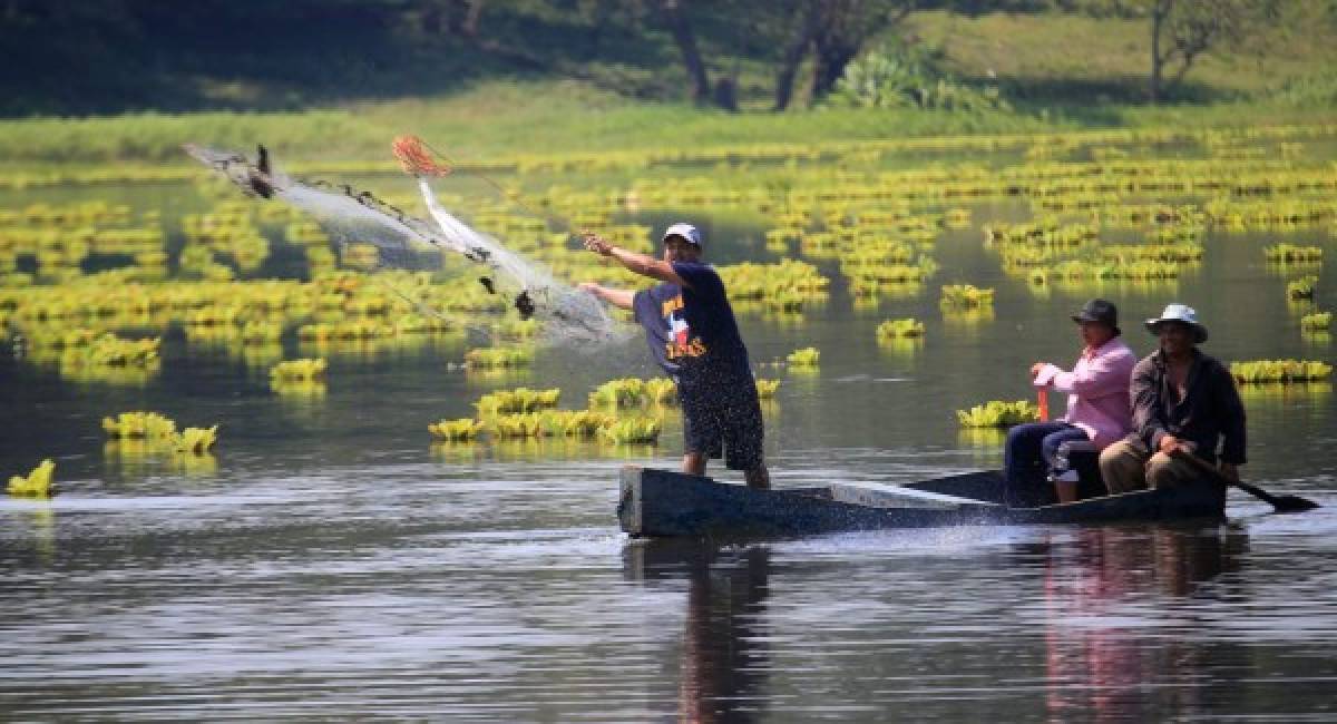 Algunos sampedranos aún pescan en la laguna de Jucutuma.