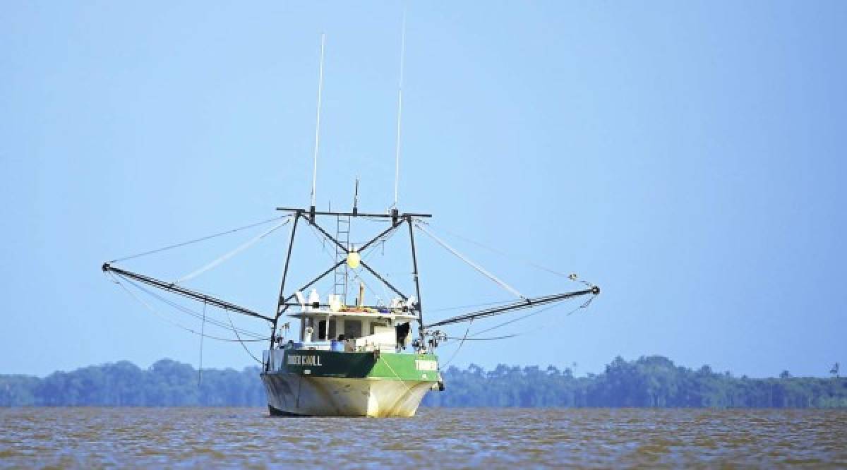 Gran parte de los misquitos se dedican a la pesca.