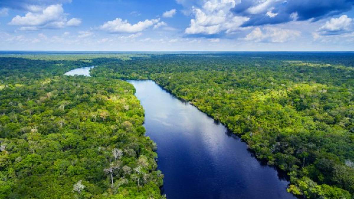 - Las mayores reservas de agua dulce del planeta<br/><br/>La región atesora casi el 20 % de las reservas de agua dulce del planeta, un recurso que, según la ONU, puede ser motivo de 'guerras' durante el siglo XXI.<br/><br/>Según la Organización de las Naciones Unidas para la Educación, la Ciencia y la Cultura (Unesco), el planeta puede tener un déficit hídrico del 40 % en 2030 si no cambia el actual modelo de consumo y preservación.<br/>