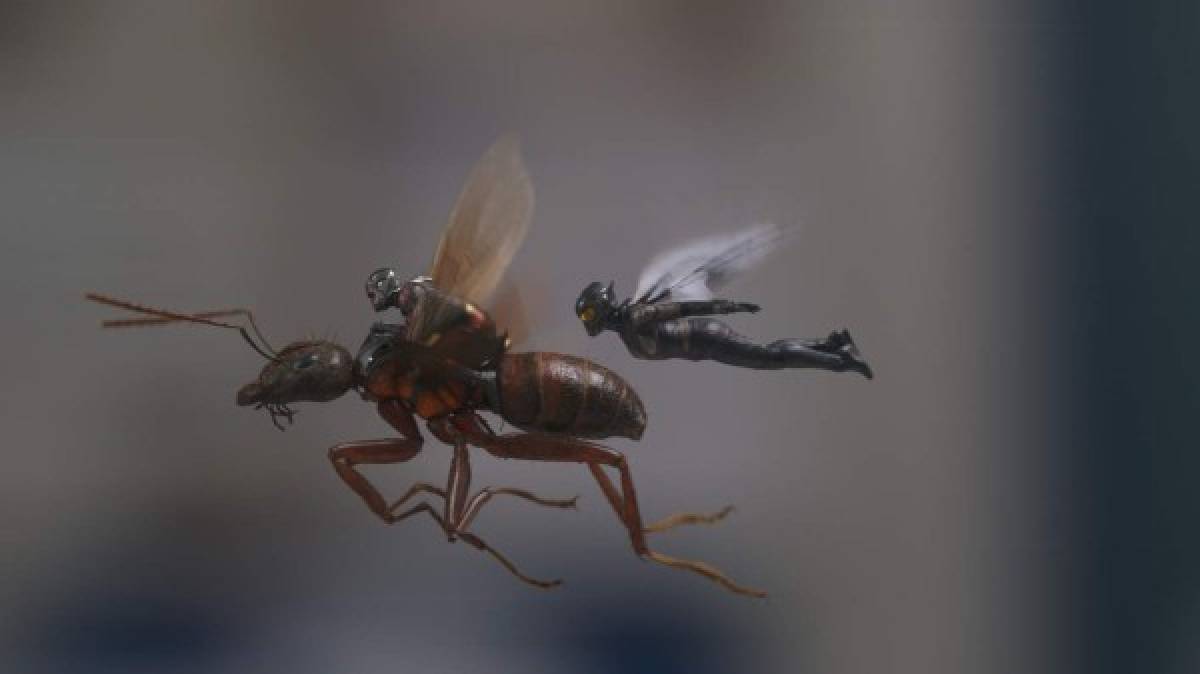 La escena post-créditos de ‘Ant-Man y la Avispa’<br/><br/>En dos minutos de 'Ant-Man y la Avispa', en su escena post-créditos, se introduce más sobre el Reino Cuántico que juega un papel esencial en ‘Vengadores: Endgame’.<br/>