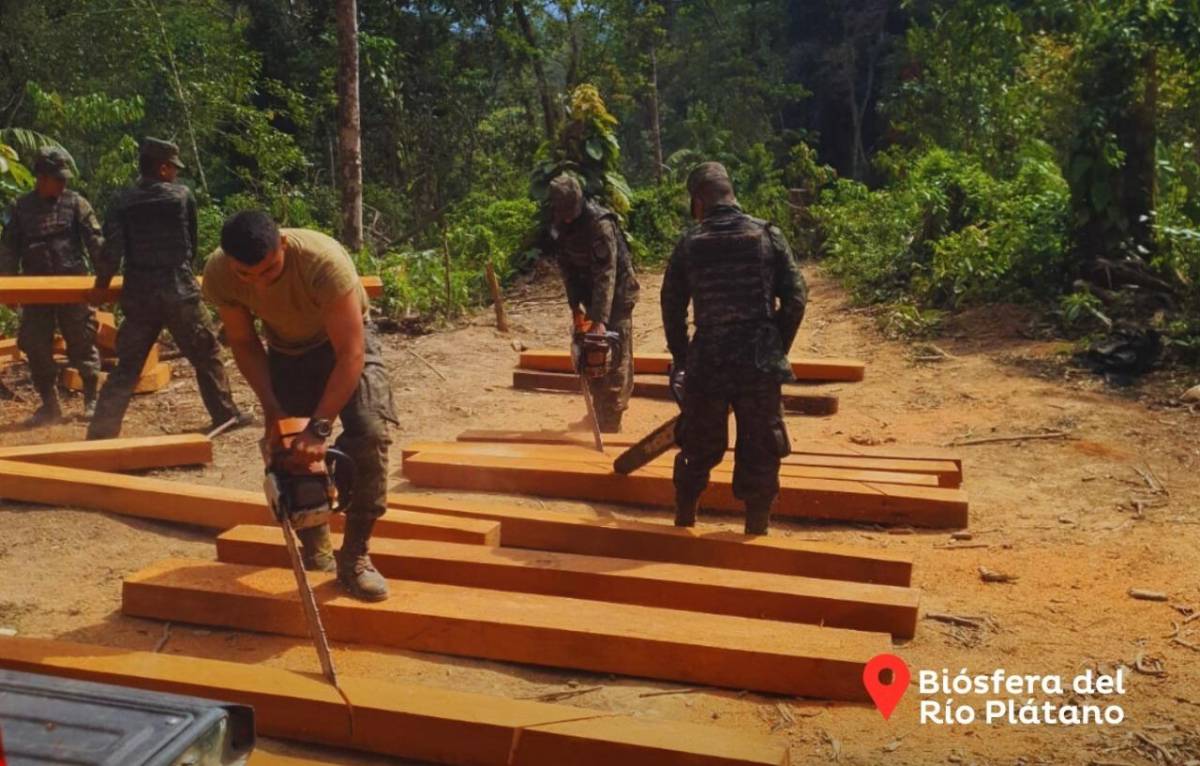 Militares decomisaron madera talada ilegalmente de la biósfera del Río Plátano.