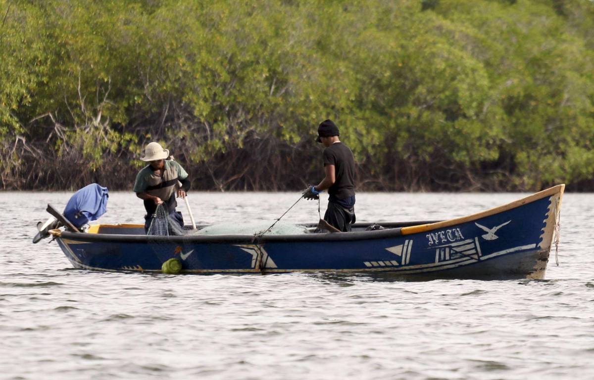 Honduras ampliará áreas de pesca y regulará explotación del mar