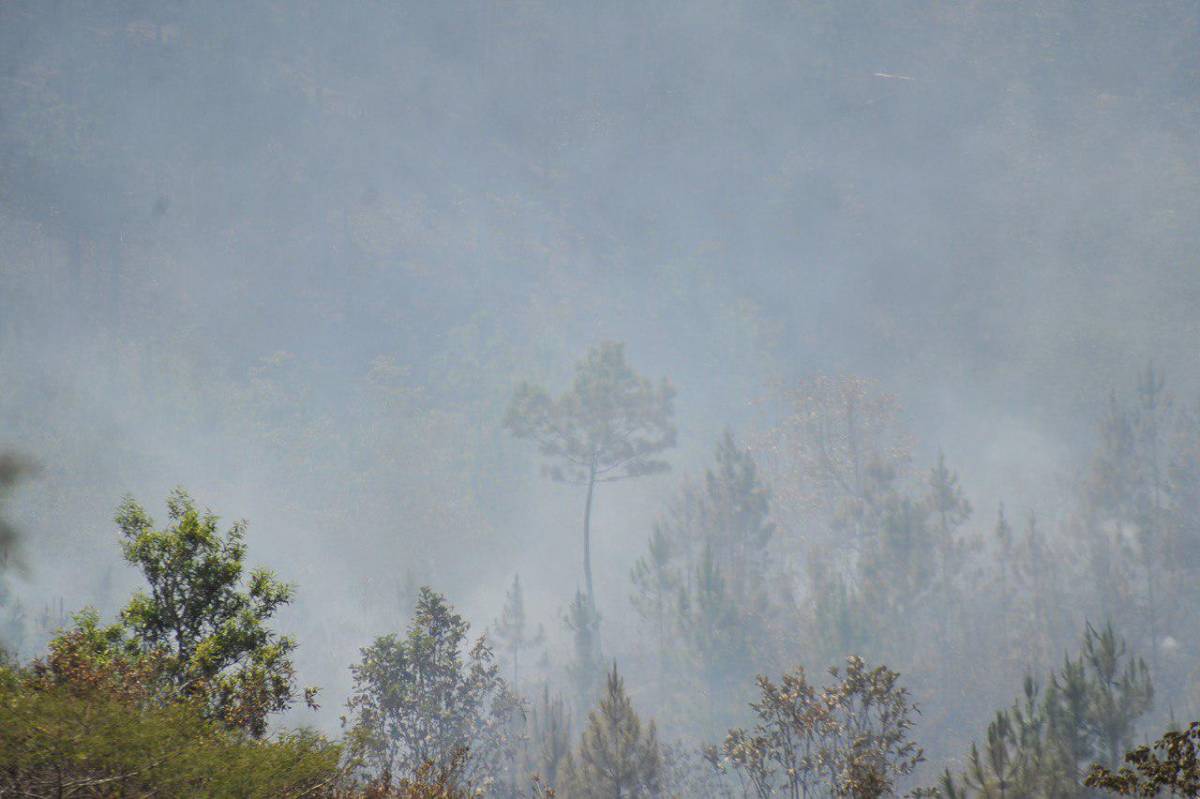 El incendio en La Tigra ha dejado una espesa capa de humo que podría provocar secuelas respiratorias en la población de Tegucigalpa, advierten expertos médicos.