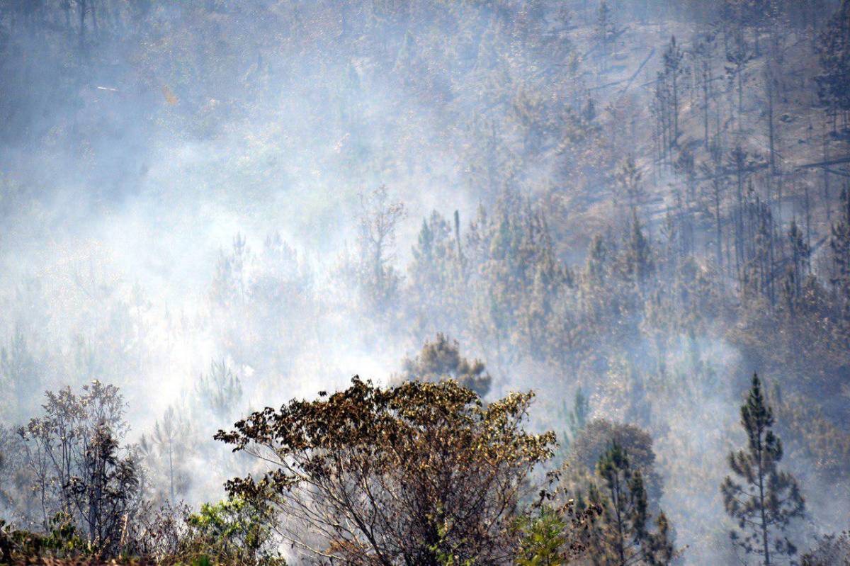 Un megaincendio en el Parque Nacional La Tigra ha afectado más de 600 hectáreas de bosque.
