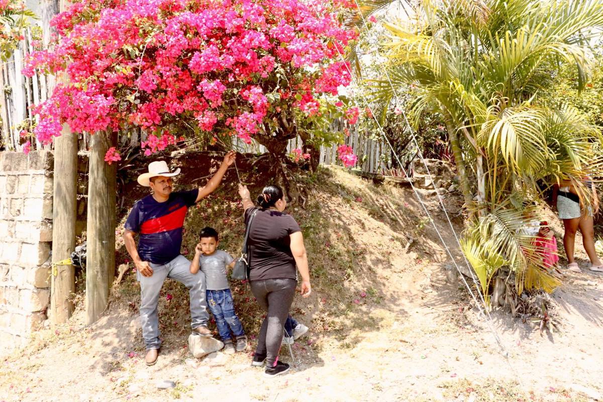 Las personas buscan refugio debajo de árboles y plantas para evitar exponerse directamente al sol en Copán Ruinas.