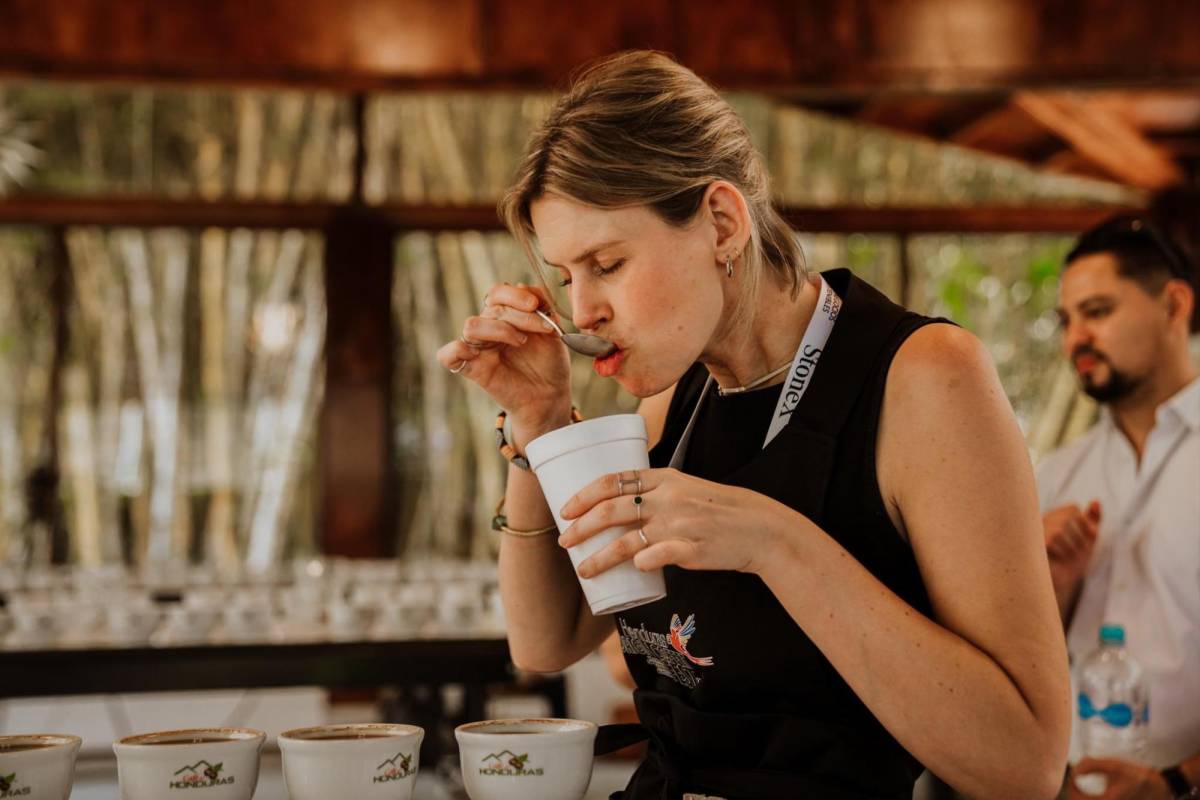 Catadores internacionales calificaron los mejores cafés producidos en la zona occidental de Honduras.