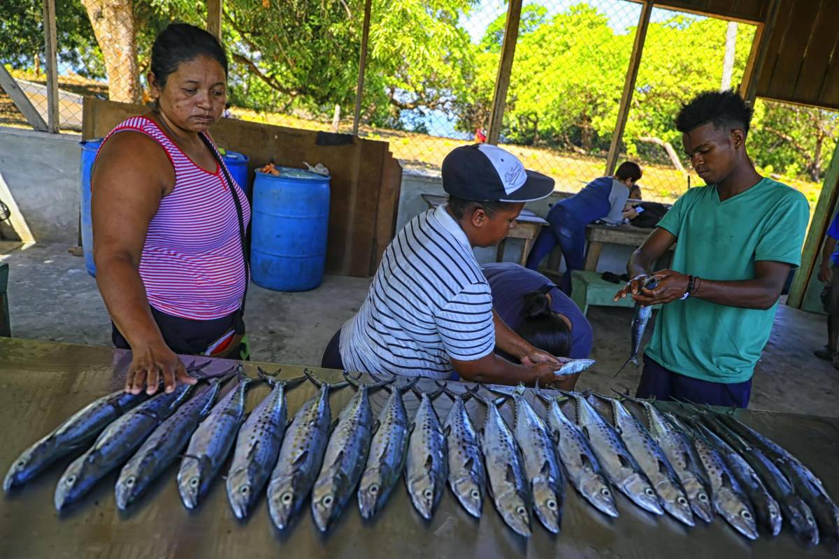 Misquitos hondureños transforman su pesca con energía solar