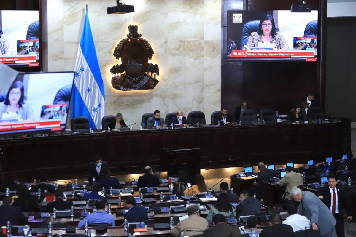 Congreso Nacional aprueba dos nuevos préstamos