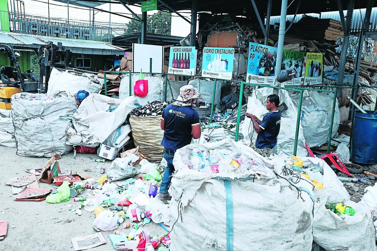Solo el 17% de basura de San Pedro Sula es reciclada, el resto impacta en el ambiente