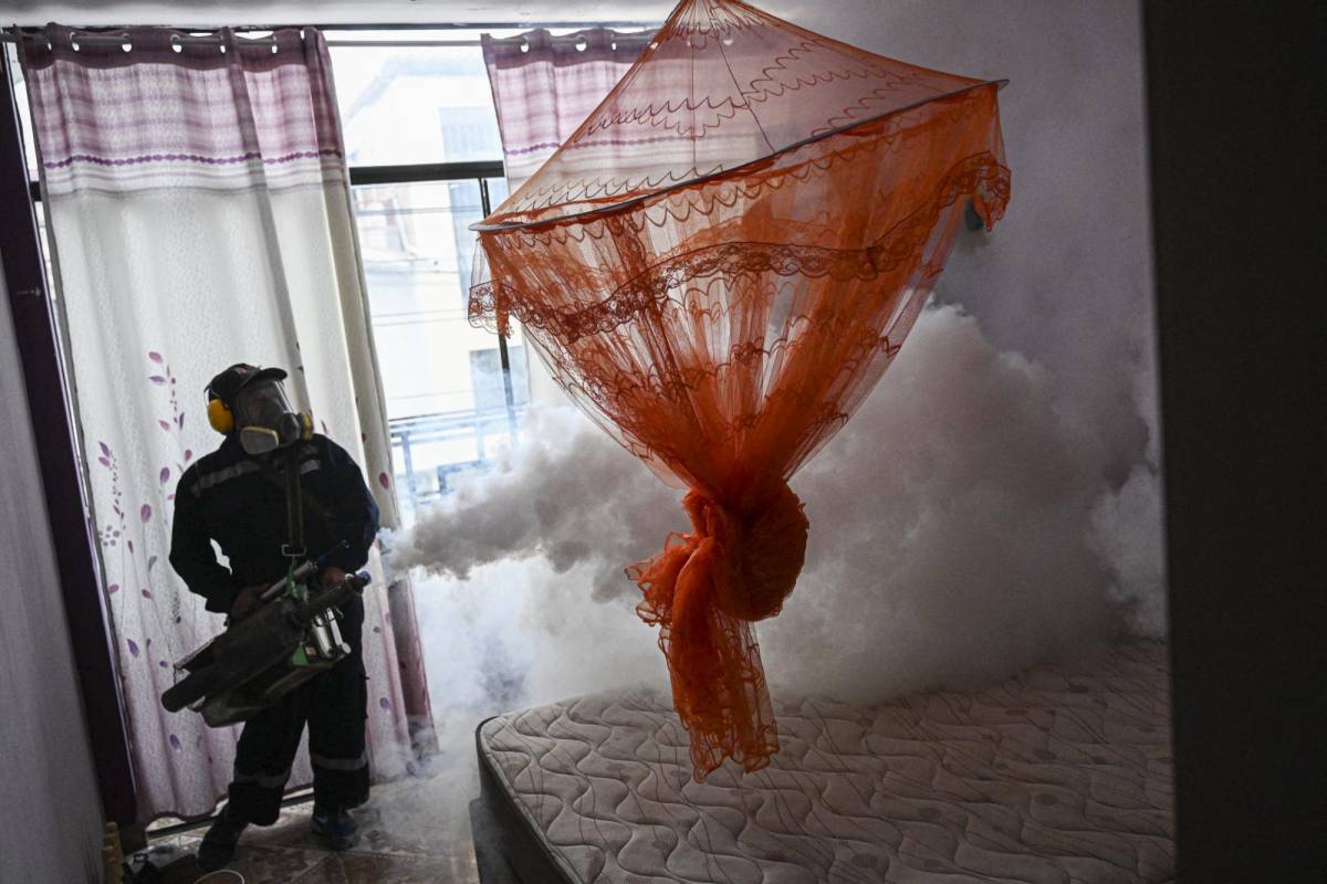 Guatemala declara alerta por dengue con más de 7,000 casos en 2024