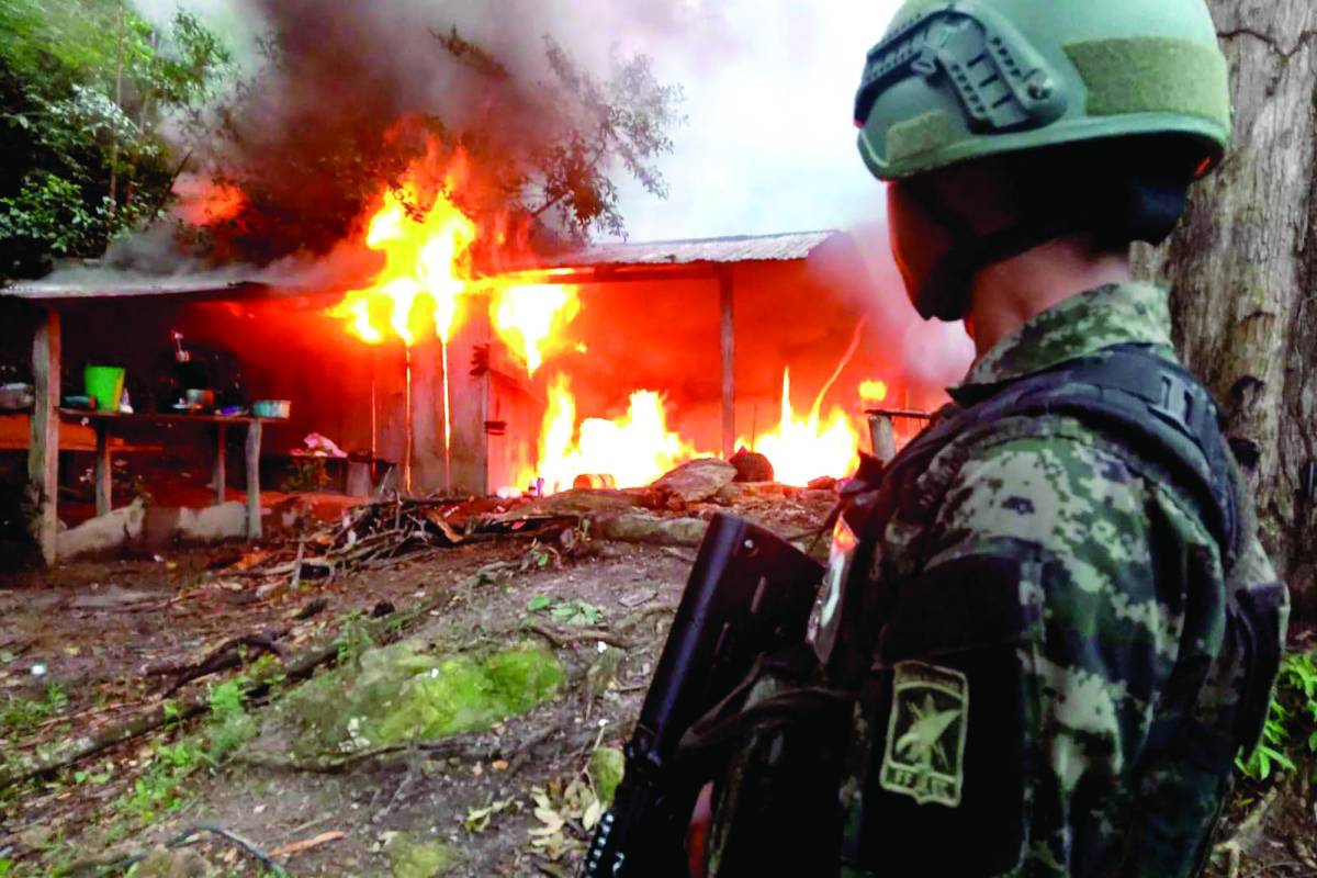 <b>En el combate al narcotráfico las FF AA y los entes antidrogas han destruido 346 narcopistas.</b>