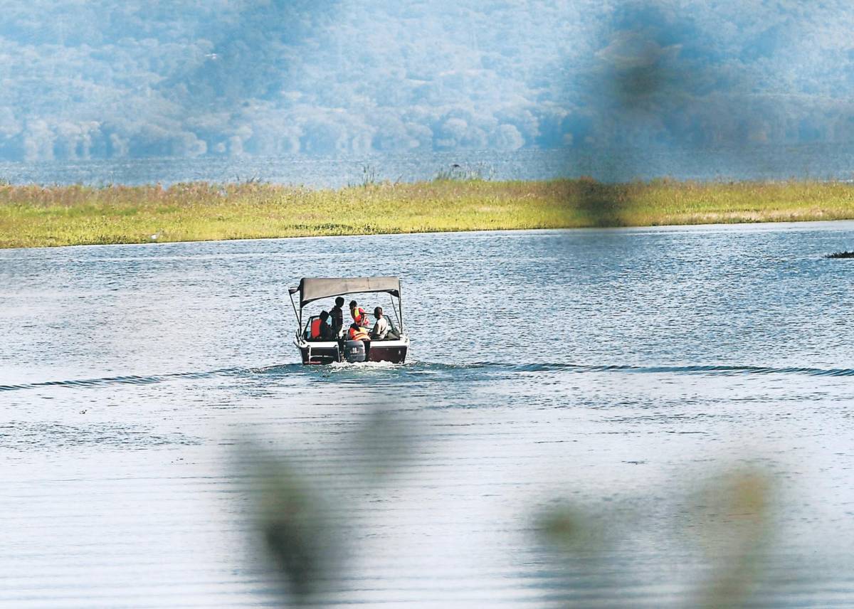 Más de 11,000 empleos se perderían en la acuicultura del Lago de Yojoa