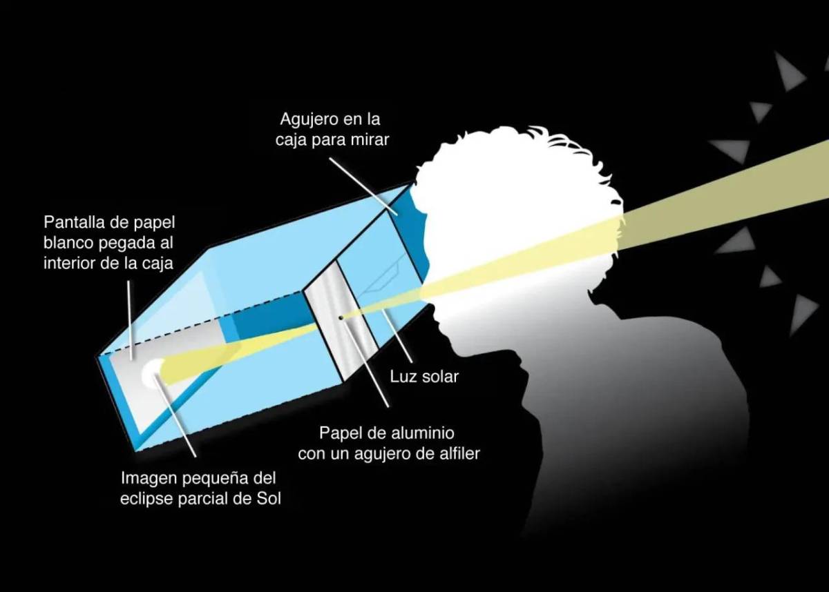 Puedes hacer tu propio proyector de eclipses usando una caja de cartón, una hoja blanca de papel, cinta adhesiva, tijeras y papel de aluminio. Con el Sol detrás de ti, la luz solar pasará a través de un agujero perforado en el papel de aluminio pegado sobre un agujero a un costado de la caja. Durante las fases parciales de un eclipse solar, esto proyectará un Sol en forma de media luna sobre una hoja blanca de papel pegada al interior de la caja. Mira dentro la caja a través de otro agujero cortado en la caja para ver la imagen proyectada.