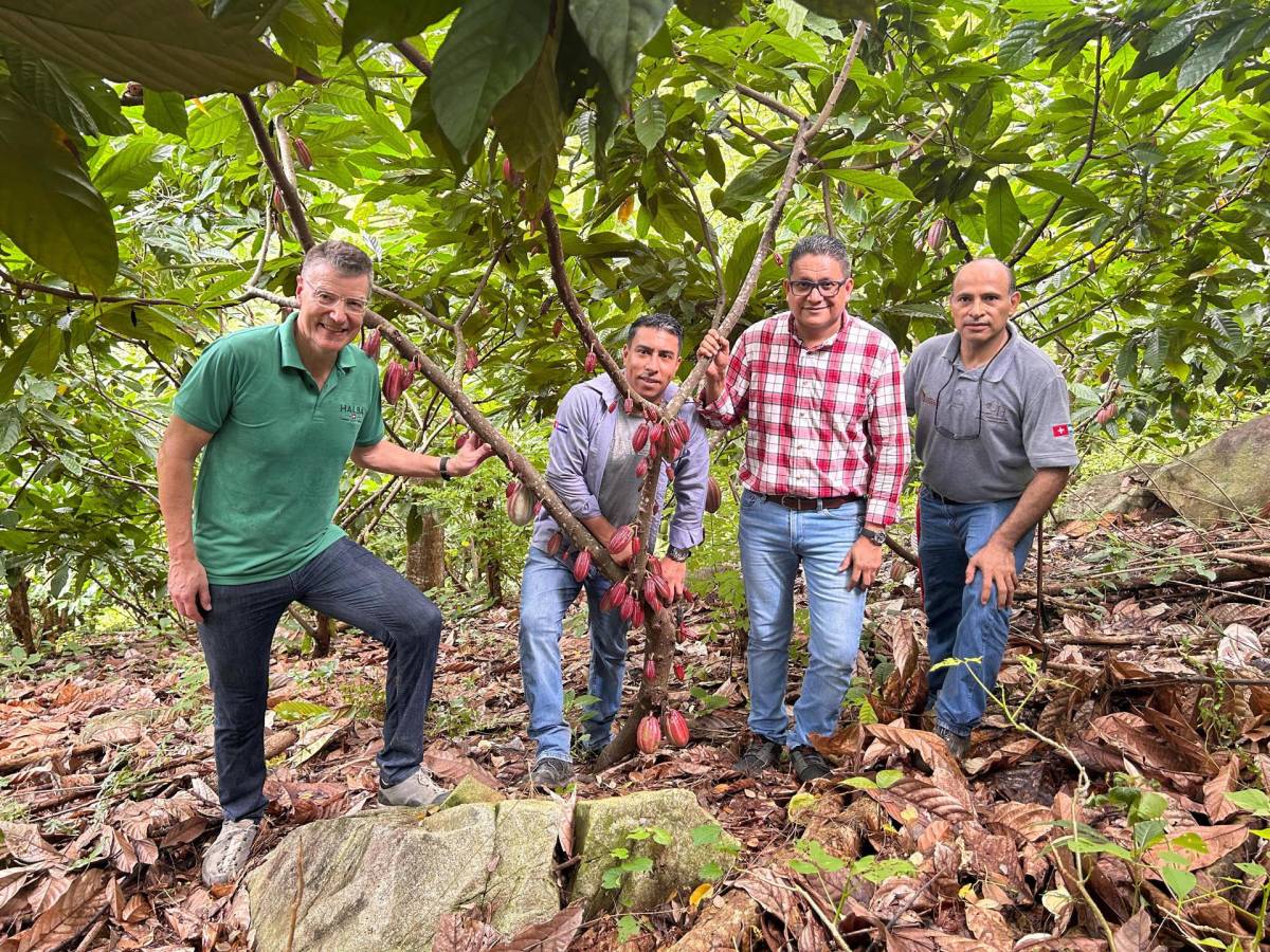 Impulsan proyecto para apoyar a productores de cacao en Honduras