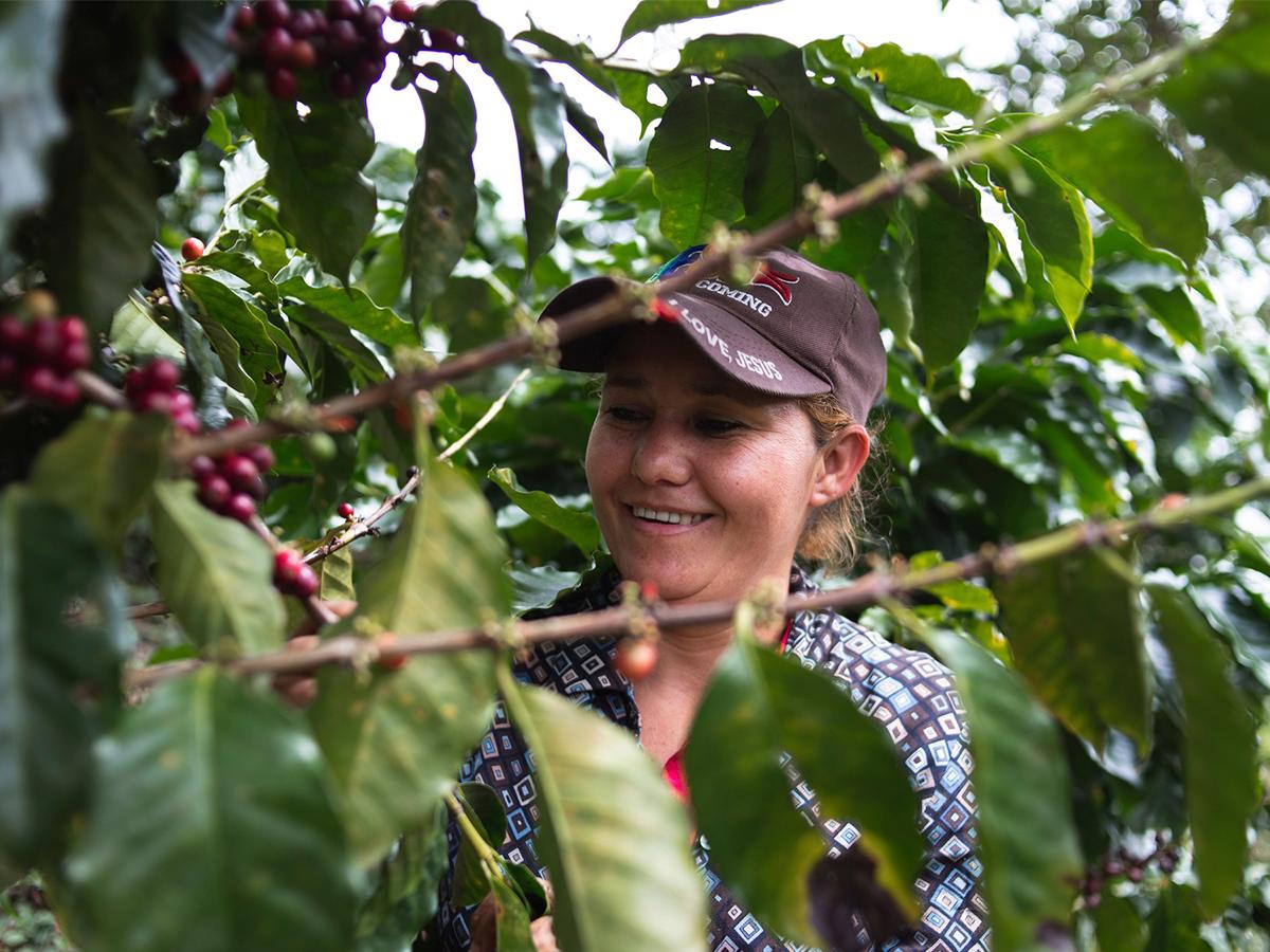 Los empleados de Finca Santa Isabel son el corazón de la producción de café de calidad y conservación ambiental.