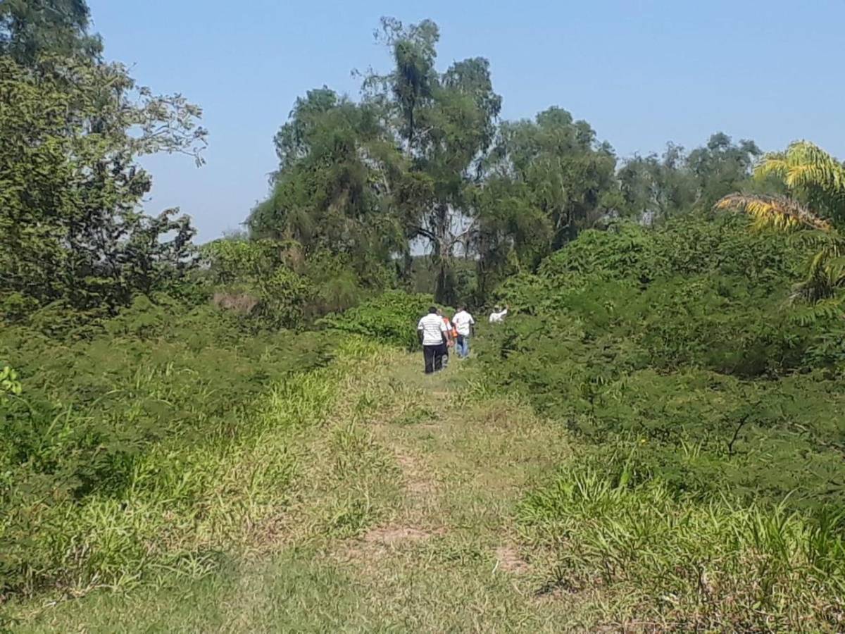 Vecinos de excampo bananero reportan hallazgo de tres cadáveres