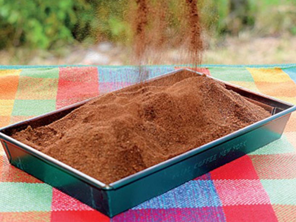 Harina de café: Un producto innovador obtenido de las cascara, ofreciendo una alternativa sostenible y nutritiva para la industria alimentaria.