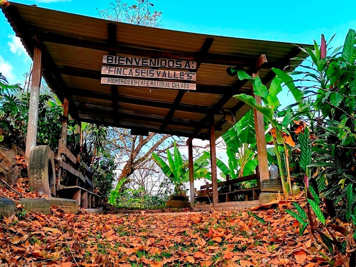Finca Seis Valles ofrece una visita guiada por los extensos campos de café orgánico, una experiencia que conecta la naturaleza con la historia del café hondureño.