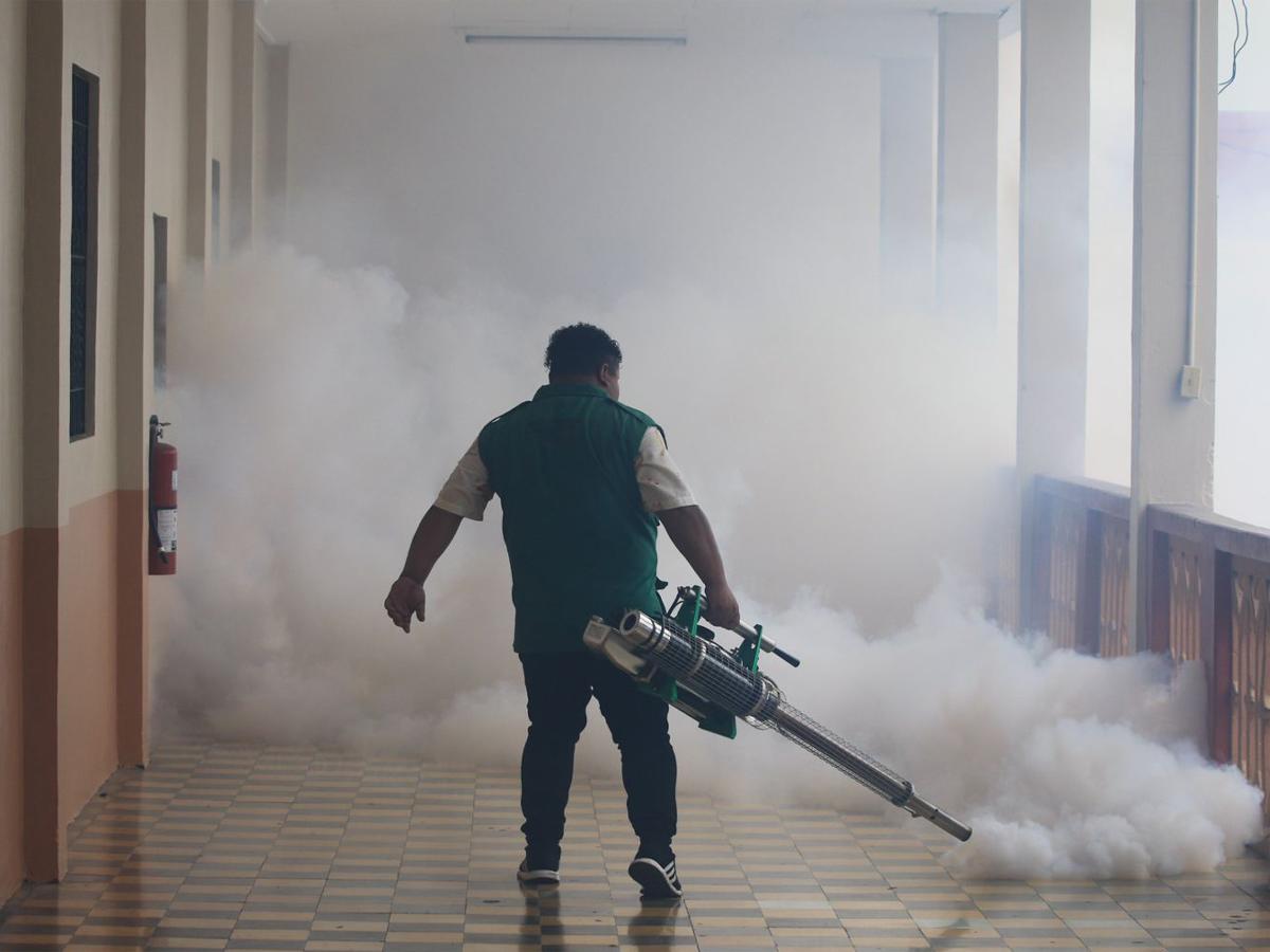 Municipalidad de San Pedro Sula lidera campañas para combatir el Dengue, Zika y Chikungunya